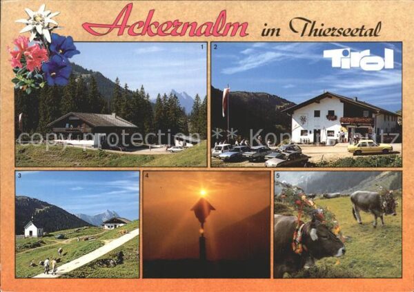 Thiersee Alpengasthof und Sennerei Ackernalm Gut