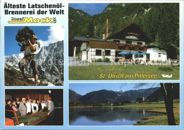 St Ulrich Pillersee Latschenöl Brennerei Josef Mock Ernte V