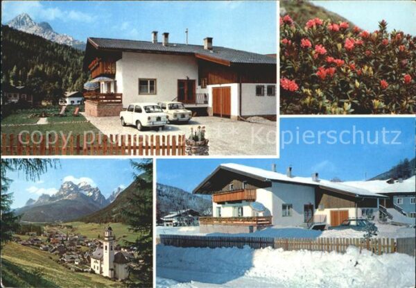 Sesto Sexten Suedtirol Affittacamere Lanzinger Alpenflora Pano