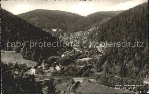 Triberg Schwarzwald Blick vom Hohnen
