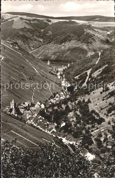 Steeg Bacharach