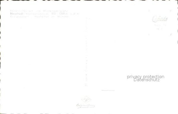 Neustadt Titisee Münster Hochaltar – Bild 2