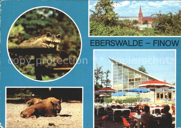 Finow Eberswalde Tierpark Waschbär Büffel Kirche Restaur