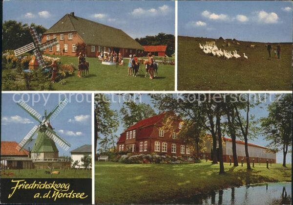 Friedrichskoog Nordseebad Gebäude mit Windmühlen Gänseschar