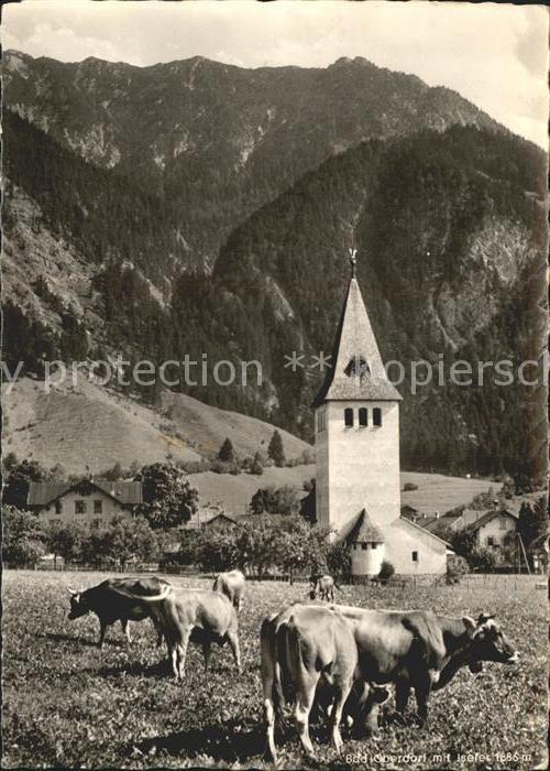 Bad Oberdorf Kirche Kühe
