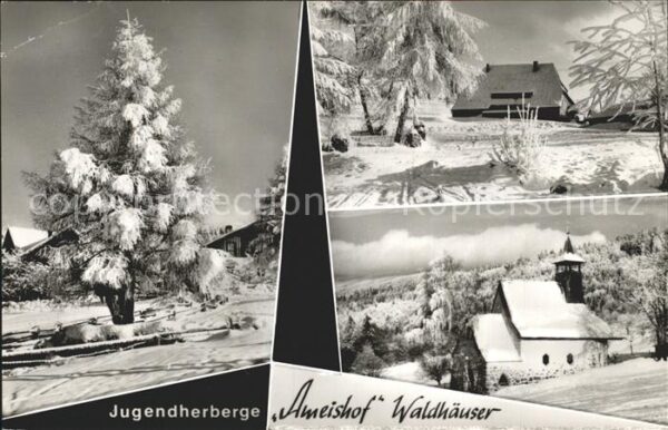 Waldhaeuser Neuschoenau Jugendherberge Ameishof