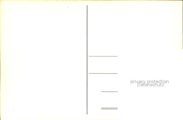 Alkmaar Melonen – Bild 2