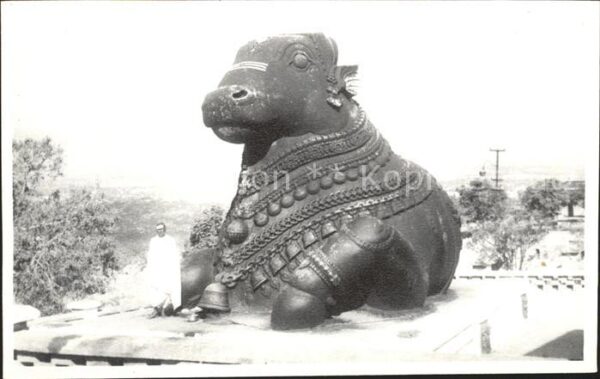 Mysore Chamundi Bull