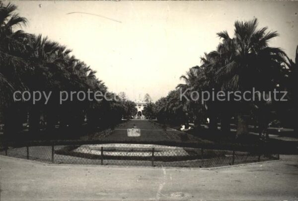 Casablanca Une Allee du Parc Layutey