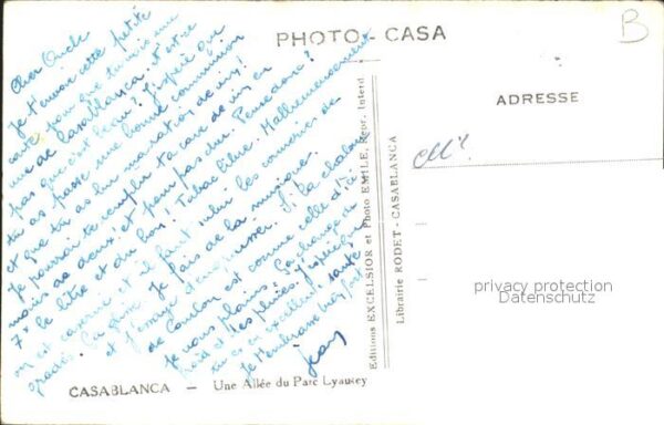 Casablanca Une Allee du Parc Layutey – Bild 2