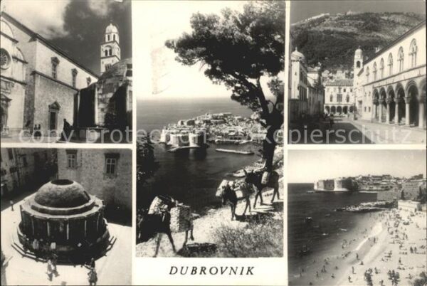 Dubrovnik Ragusa Kirche Tempel Inselblick Esel Strand