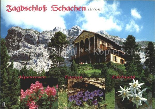 Schachen Garmisch Jagdschloss Alpenrosen Enzian Edelweiss
