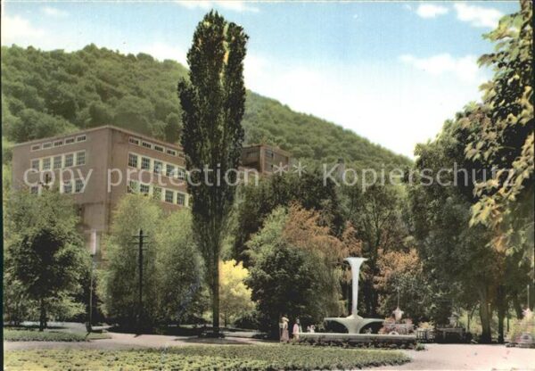Kolarovgrad Park