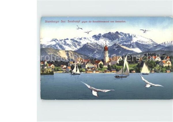 Starnbergersee Seeshaupt Benediktenwand Möwe