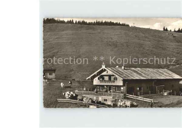 Tegernsee Gindlalm Gindlschneid