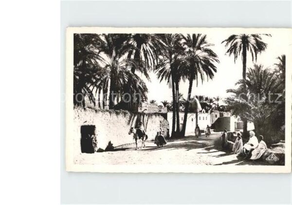Scenes et Types Nr. 1229 Route a travers l'Oasis