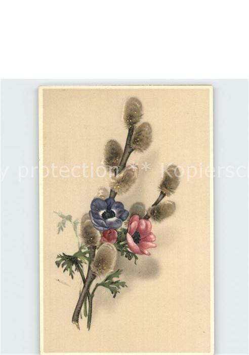 Blumen Weidenkätzchen Litho