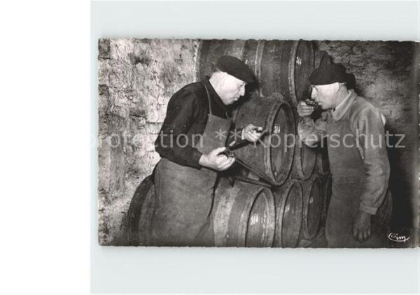 Wein Cave Bourguignonne