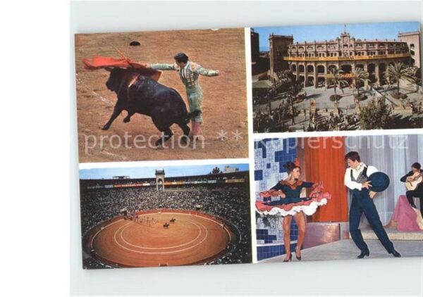 Stierkampf Toros y Folklore Andaluz Palma de Mallo