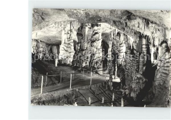 Hoehlen Caves Grottes Postojna Slowenien