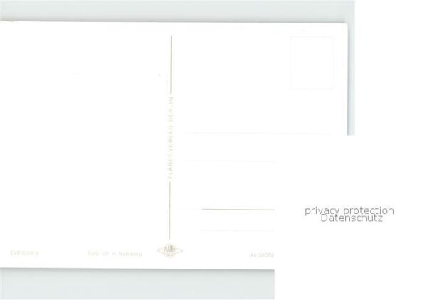 Pferde – Bild 2