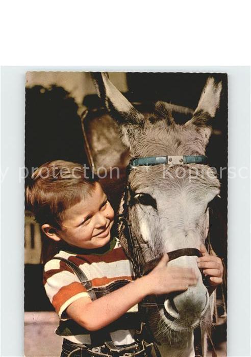 Esel Tiere Kind
