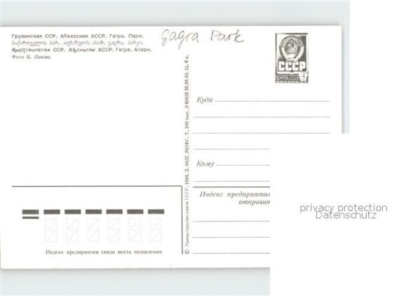 Voegel Ententeich Gagra Park – Bild 2