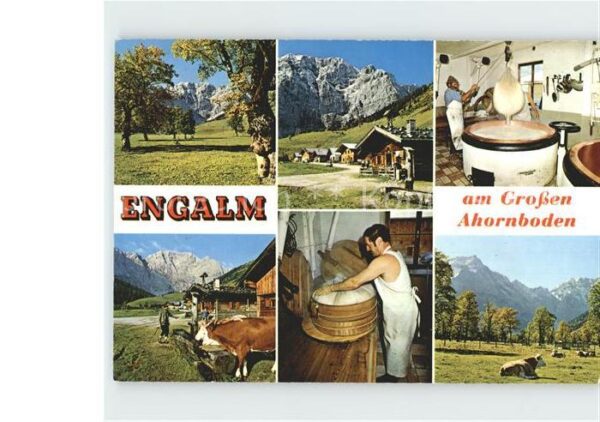 Sennerei Engalm Kühe