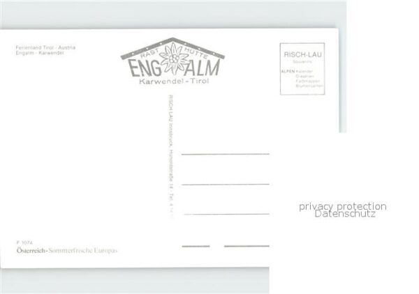 Sennerei Engalm Kühe – Bild 2