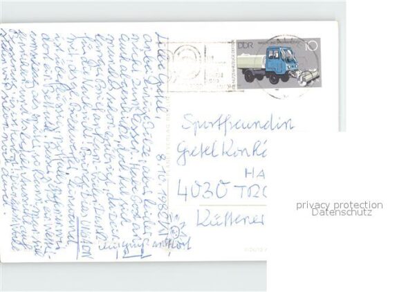 Pilze Maronen-Röhrling – Bild 2
