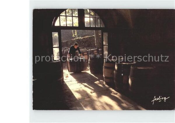 Wein Vignes du Seigneur