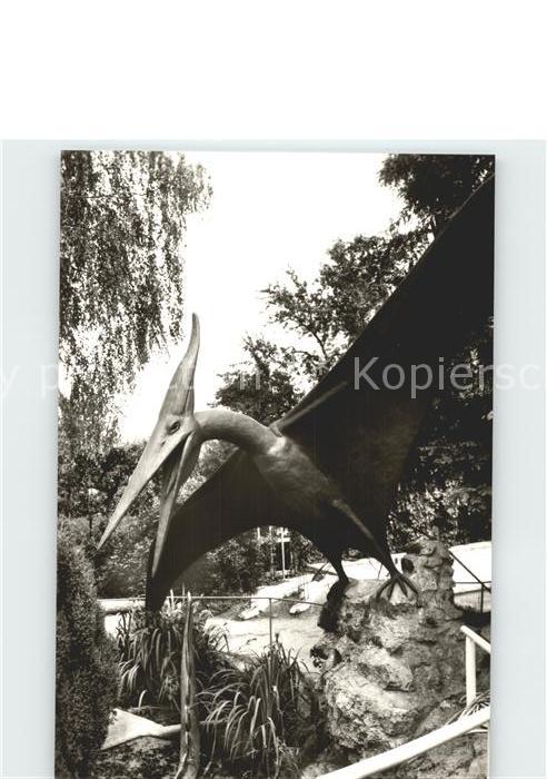 Dinosaurier Pteranodon Kleinwelka Maly Wjelkow