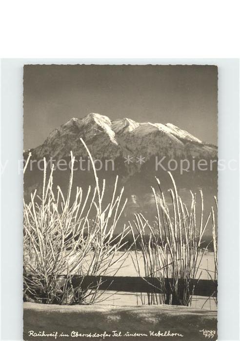 Foto Popp Nr. 799 Raureif Oberstdorfer Tal Nebelhorn