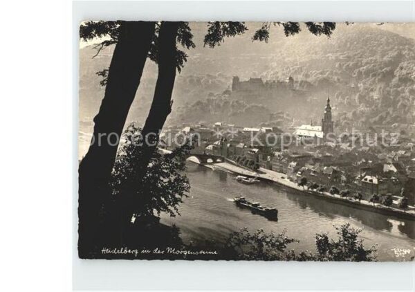 Foto Popp Nr. 312 Heidelberg