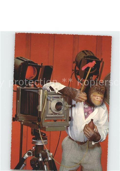 Affen Fotoapparat Fotograf