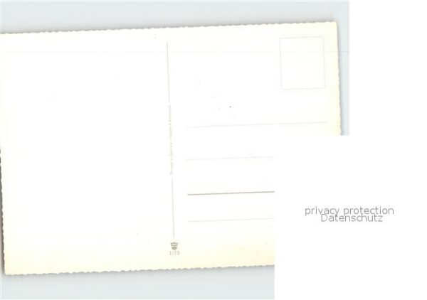 Affen Fotoapparat Fotograf – Bild 2