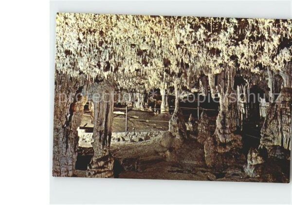 Hoehlen Caves Grottes Alghero Sardegna Grotte di Nettuno