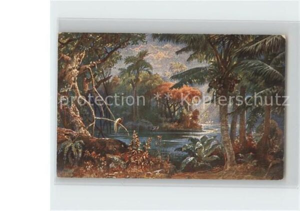 Kamerun Afrika Landschaft Kolonialkriegerdank Kuenstle