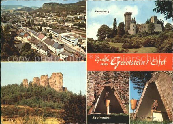 Gerolstein Kasselburg Steinadler Kaiseradler Auber