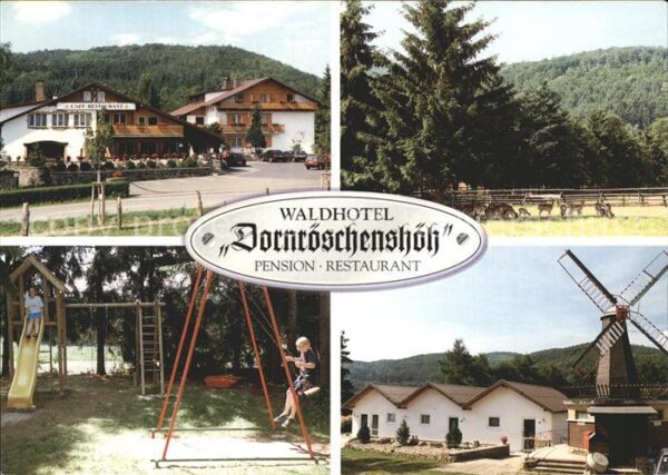 Hemfurth-Edersee Waldhotel Dornröschenshöh