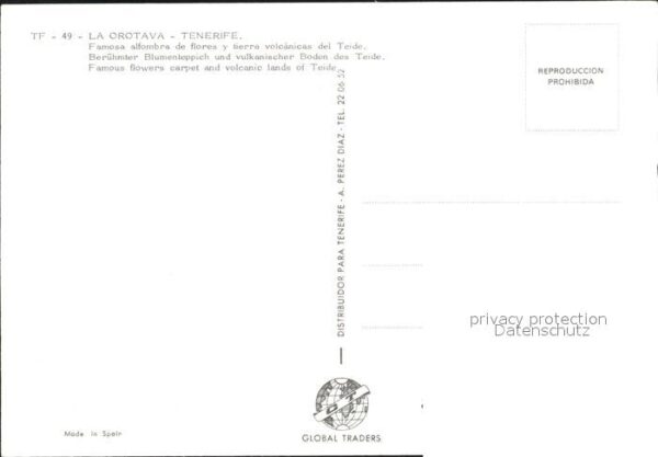 La Orotava Blumenteppich – Bild 2