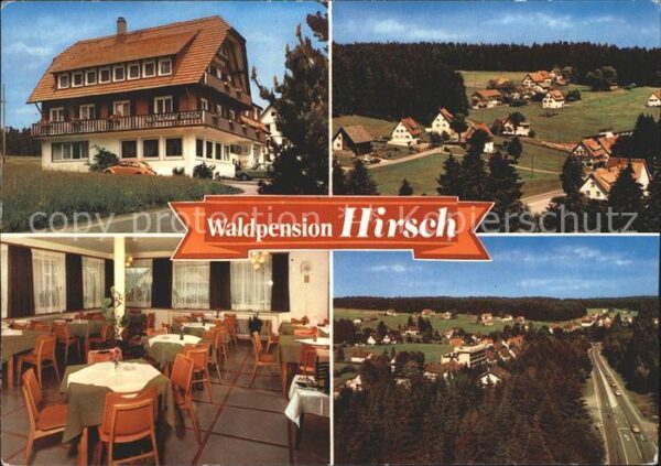 Kniebis Freudenstadt Waldpension Hirsch