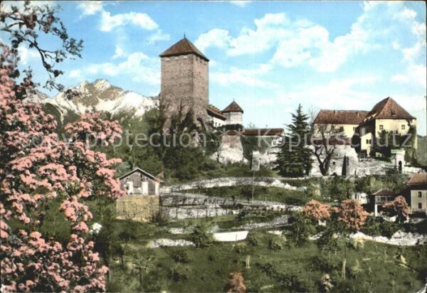 Meran Merano Schloss Tirol