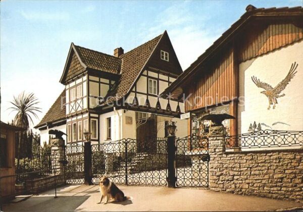 Detmold Adlerwarte Berlebeck