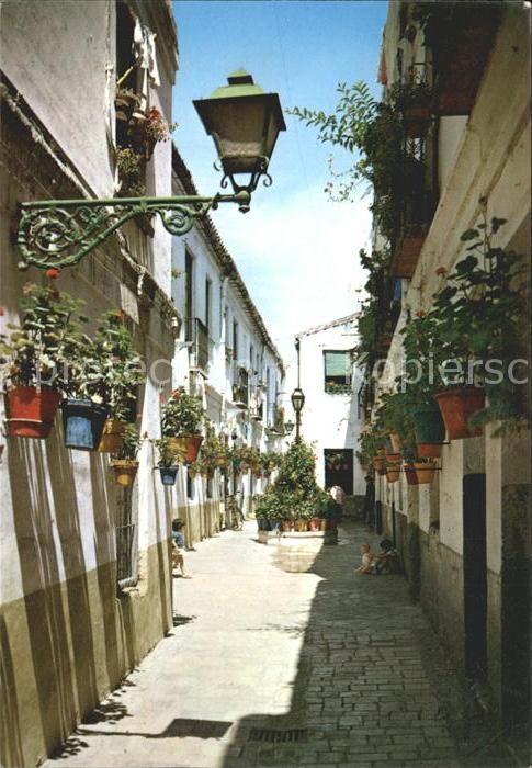 Malaga Andalucia The Victoriana Typical Street
