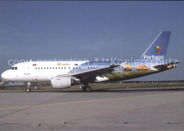 Flugzeuge Zivil TAP Air Portugal Airbus A319 CS-TTJ