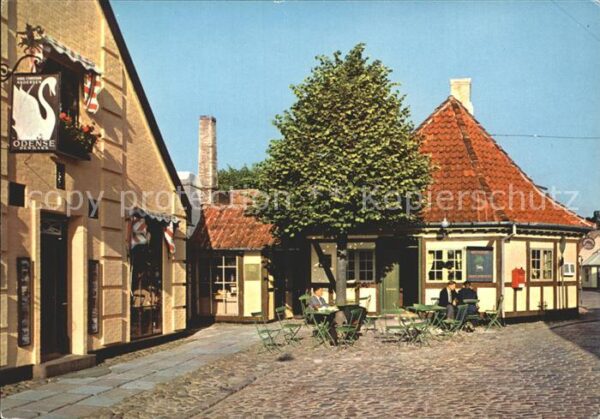 Odense Lindetraeet Hans Jensensstraede