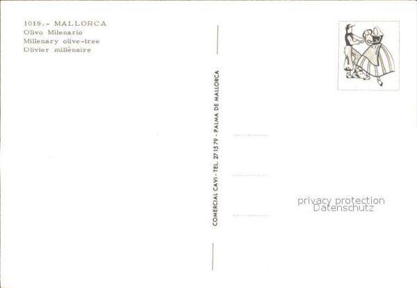 Mallorca Olivo Milenario – Bild 2