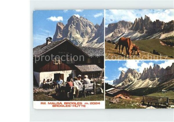 Brogleshuette Rifugio Malga Brogles Pferd