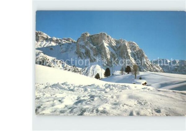 Groeden Tirol Lo Stevia Steviagruppe